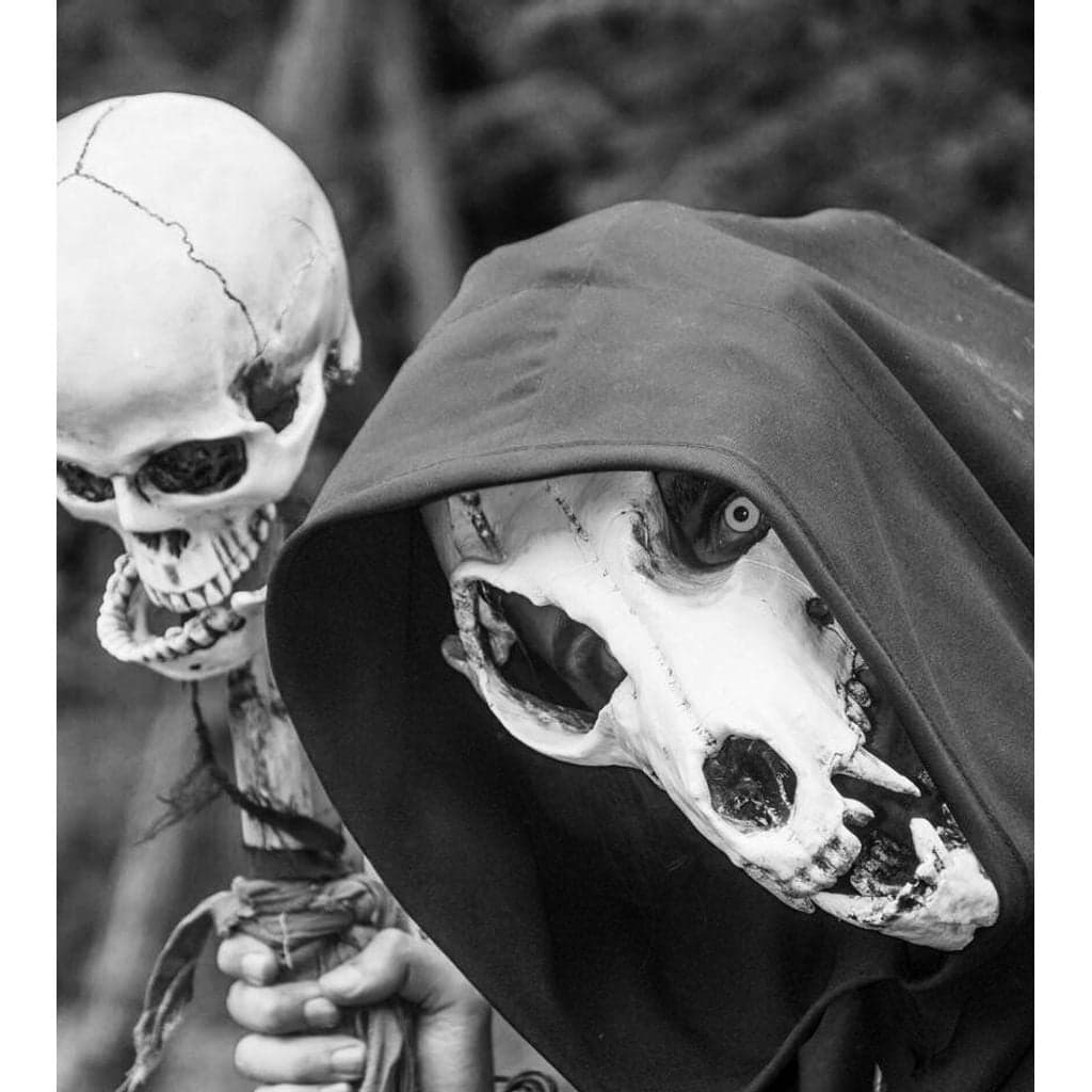 Shaman Mask — imagen 2