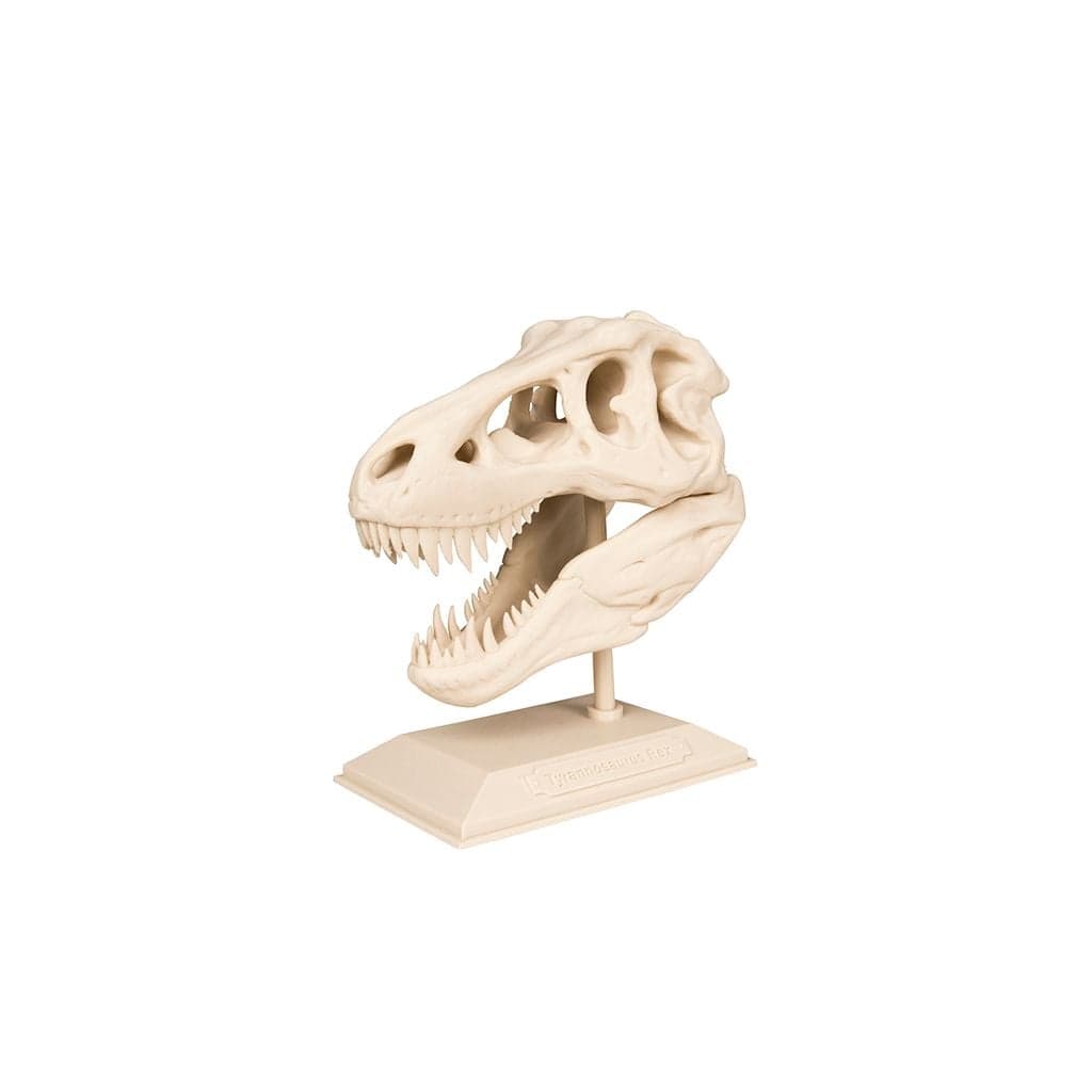 Figura The T-Rex Skull